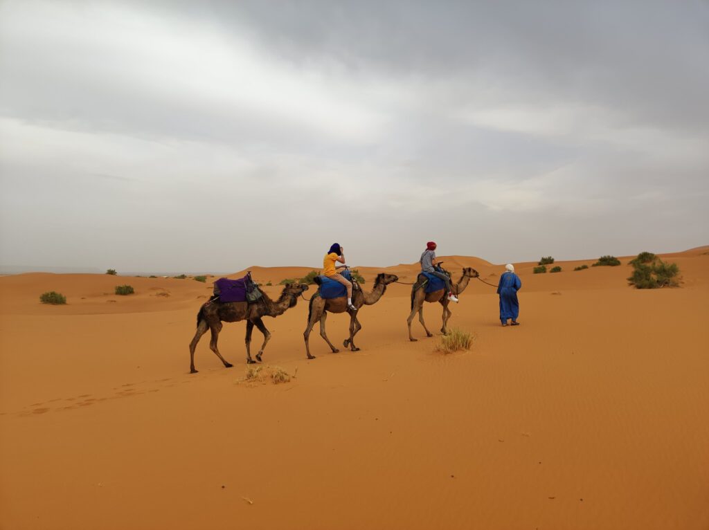 camel ride sunset - Sahara